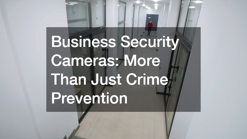Business Security Cameras  More Than Just Crime Prevention